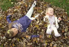 RFrchllzPTleafpile11-101-19.webp