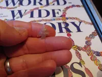 1020191113a.webp