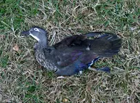 K1600_DSCN7614.webp