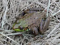 K1600_DSCN7610.webp