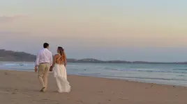 Cocos -3.webp