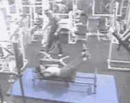 tenor (50).gif