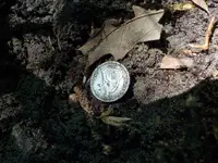 DSCN3515 (1).webp