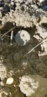 20191019_092346.webp