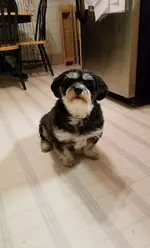 20191018_193414.webp