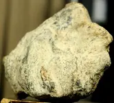 Oyster09.webp