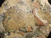 DSCF4421.webp