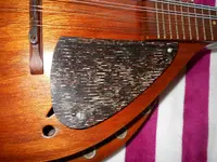 DSCN1830.webp