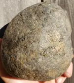 20191001_172912.webp