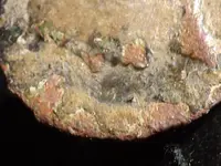 DSCF4418.webp