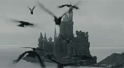 b6987807e459329e80a3bd30ee4c5bd7.gif
