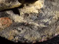 DSCF4435.webp