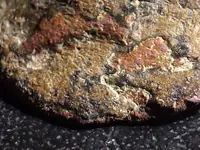 DSCF4450.webp
