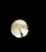 10 12 moon 019.webp 10 12 moon 019.webp
