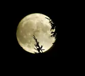 10 12 moon 021.webp 10 12 moon 021.webp