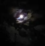 moon two 001.webp moon two 001.webp