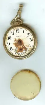 elgin1.webp