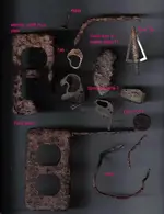 finds.webp
