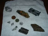 T.C. findings.webp