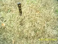 mini cache 1 Resized.webp