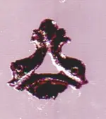 Fibelfragment.webp