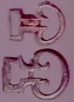 bb2.webp