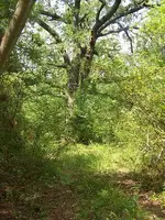 0503MMdrive.webp
