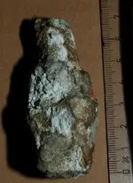 metaaldetectinga 132.webp