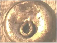 button2.webp