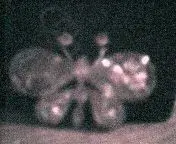 Cap0001.webp