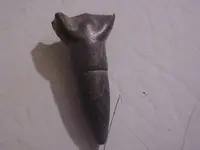 cut bullet.webp