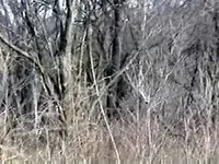 pic1_edited.webp