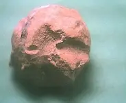 zzzzzz_Chewed_Musket_Ball_001.webp