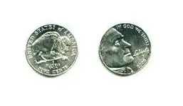05nickel.webp