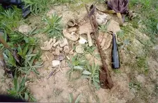 habor11.webp