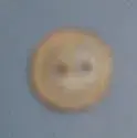 button.webp