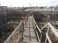 DSC00485.webp