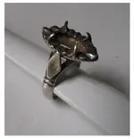ring1.webp