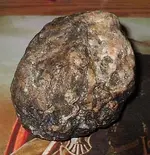 Rock.webp