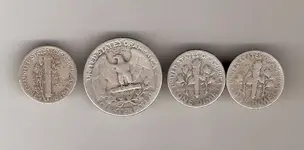 Silver back.webp