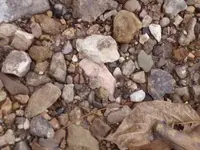 P1090248.webp