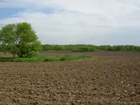 Field finds 5-25-08 021 (2).webp