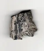 arrowhead 12.webp