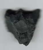 arrowhead 11.webp