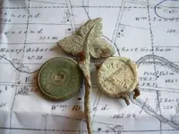 Field finds 5-25-08 021 (5).webp