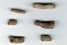 stems or beads.webp