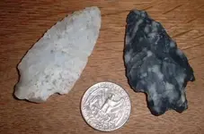 Dscf0295.webp