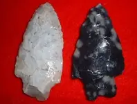 Dscf0302.webp