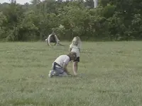 DCAM0053.webp