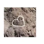 duck 1.webp